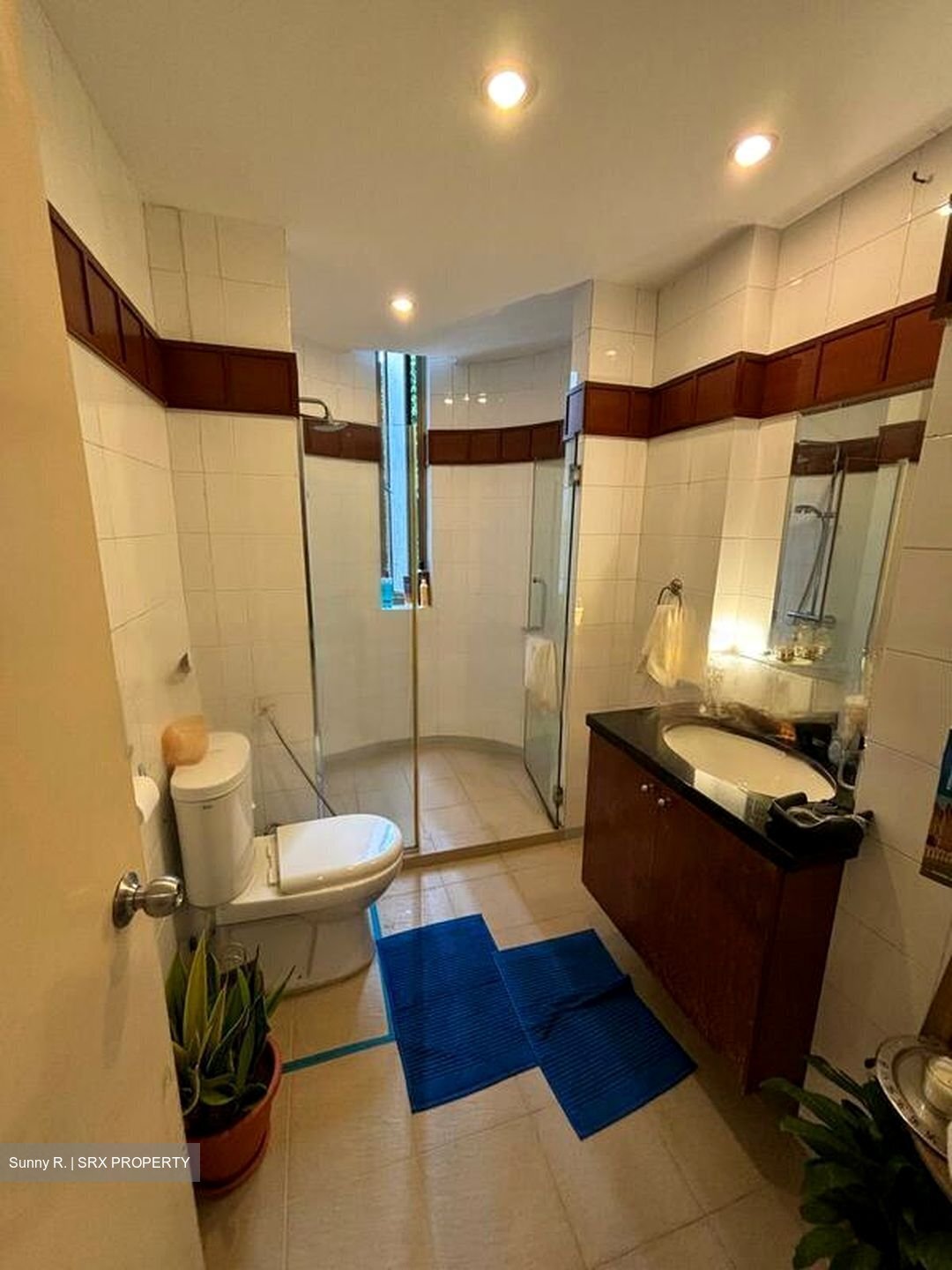 Horizon Towers (D9), Condominium #456400831